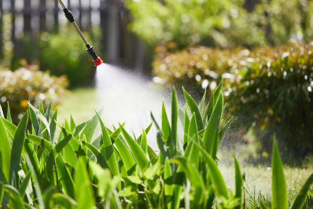 Tamper-Resistant Bait Stations for Rodents in Gearhart