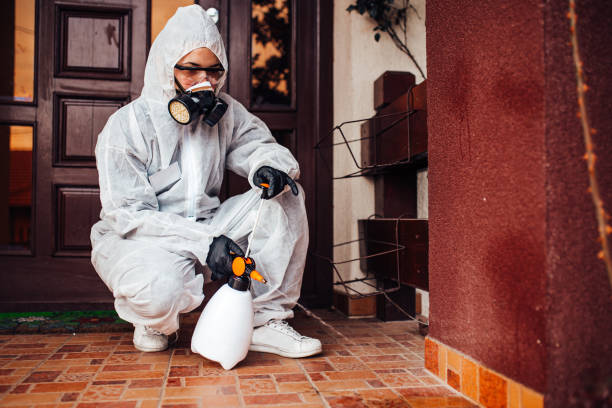 Attic and Crawl Space Rodent Treatment in Gearhart